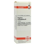 Angelica Archangelica Urtinktur D 1 20 ml