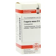 Produktabbildung: Fragaria Vesca D 6 Globuli 10 g