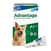 Produktabbildung: Advantage™ 400mg Hund 1X4 St
