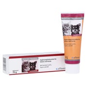 Produktabbildung: Reconvales Päppelpaste F.hunde/katzen 75 g