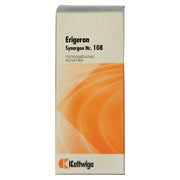 Synergon Komplex 108 Erigeron Tropfen 50 ml