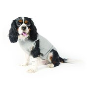 Fashion Dog Cura Pets Wundschutz-Body für Hunde und Katzen Boys - 33 cm 1 St