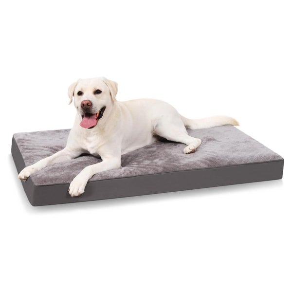 Hundebett Orthopädisch XXL Waschbar dunkelgrau L 120 x B 75 1 St