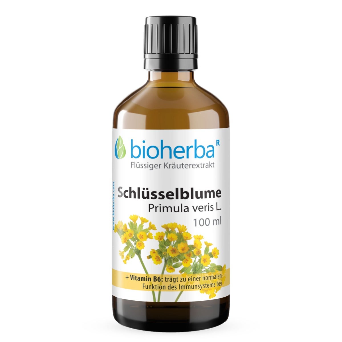 SchlÜsselblume Primula Veris Extrakt Tropfen 100 ml