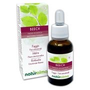 Naturalma Rotbuche Beech Tropfen 30 ml
