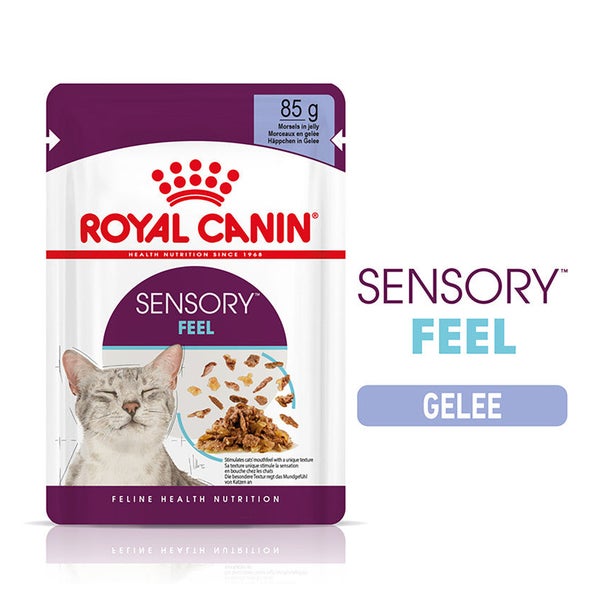 Royal Canin FHN Sensory Feel Jelly FB 0,34 kg