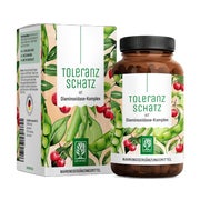 Produktabbildung: Diaminoxidase-Komplex für Histaminintoleranz mit Quercetin und Vitamin C - HIT DAO Komplex - TOLERANZSCHATZ - 60 vegane Kapseln - NATURTREU® 60 St