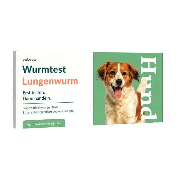 Lungenwurmtest Hund 1 St