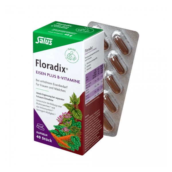 Salus Floradix Eisen plus B-Vitamine 48 g