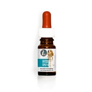 7Pets Ektosol Spot on für Hunde - 10 ml 1 St