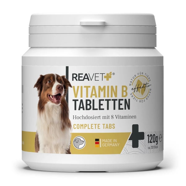 Vitamin B Tabletten 120 g