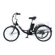 Gogobest GF100 Elektrisches Lastendreirad mit 36V 15Ah Akku 1 St