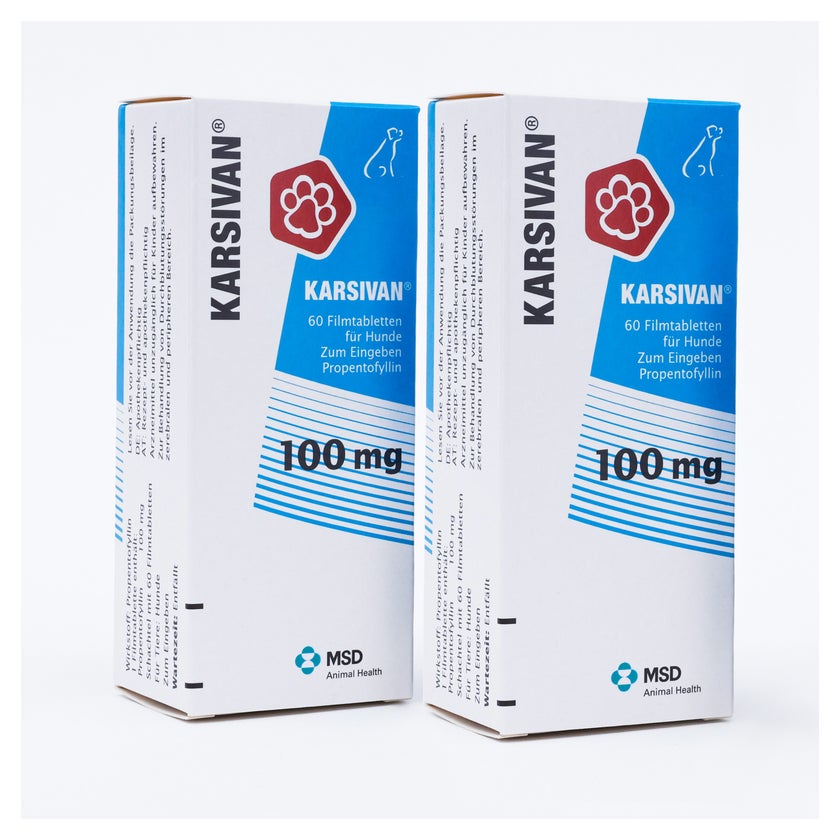 Set Karsivan 100 mg 2X60 St