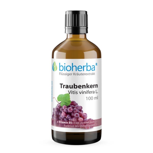 Traubenkern Vitis Vinifera Extrakt Tropfen 100 ml