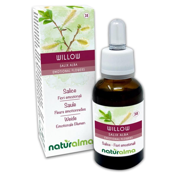 Naturalma Weide Salix alba var. vitellina Tropfen 30 ml