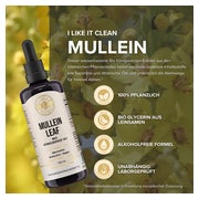 KÖnigskerzenextrakt 10:1 I Like It Clean 100 ml