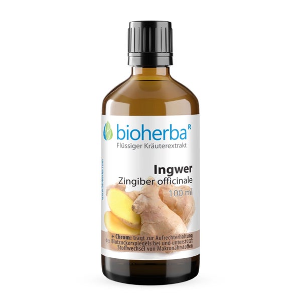 Ingwer Extrakt Tropfen 100 ml