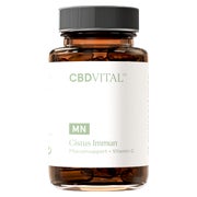CBD VITAL Cistus Immun für bessere Abwehrkräfte|Vegan 60 St