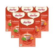 Yogi Tea - Lebensfreude Bio Kräutertee | 6 x 30,6g 6x17 St
