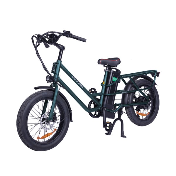 GOGOBEST GF200 Elektro-City-Lastenrad mit 48V 15,6Ah Akku 1 St