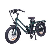 GOGOBEST GF200 Elektro-City-Lastenrad mit 48V 15,6Ah Akku 1 St