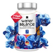 Produktabbildung: Sonnesee Wasserbalance 7 fach Brennnessel Komplex 90 St