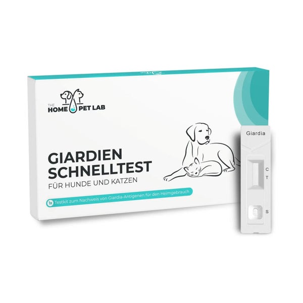 HomePetLab Giardien Schnelltest Hunde & Katzen 1er Packung 1 St