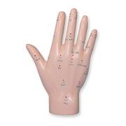 megro Einzelmodell Hand Akupunkturmodell 1.0 St