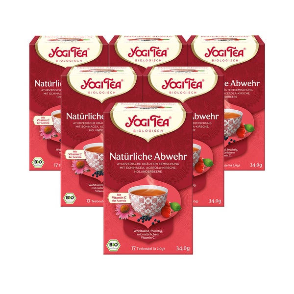 Yogi Tea - Natürliche Abwehr Bio Kräutertee | 6 x 34g 6x17 St