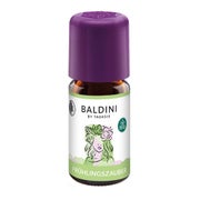 Produktabbildung: Baldini Frühlingszauber Duftkomposition 5 ml
