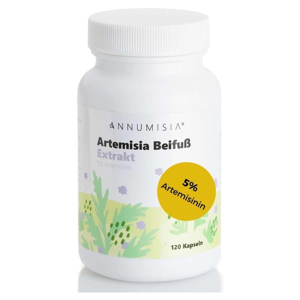 Annumisia Artemisia Beifuß (Vulgaris) Kapseln