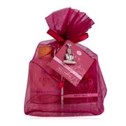 Accentra 2-teiliges ZEN SPA Wellness-Set mit Rosen- und Arganöl im Geschenkbeutel 300 ml