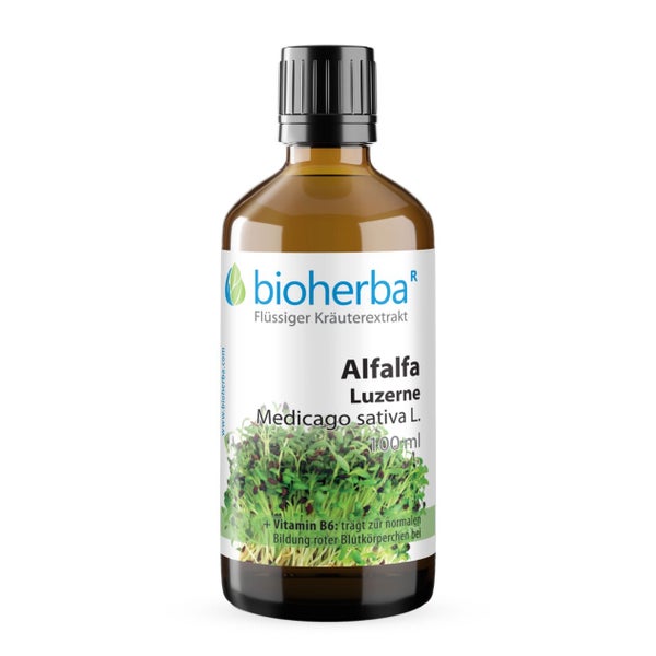 Alfalfa Luzerne Extrakt Tropfen 100 ml