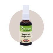 Hildegard Wegerich Spray 50 ml