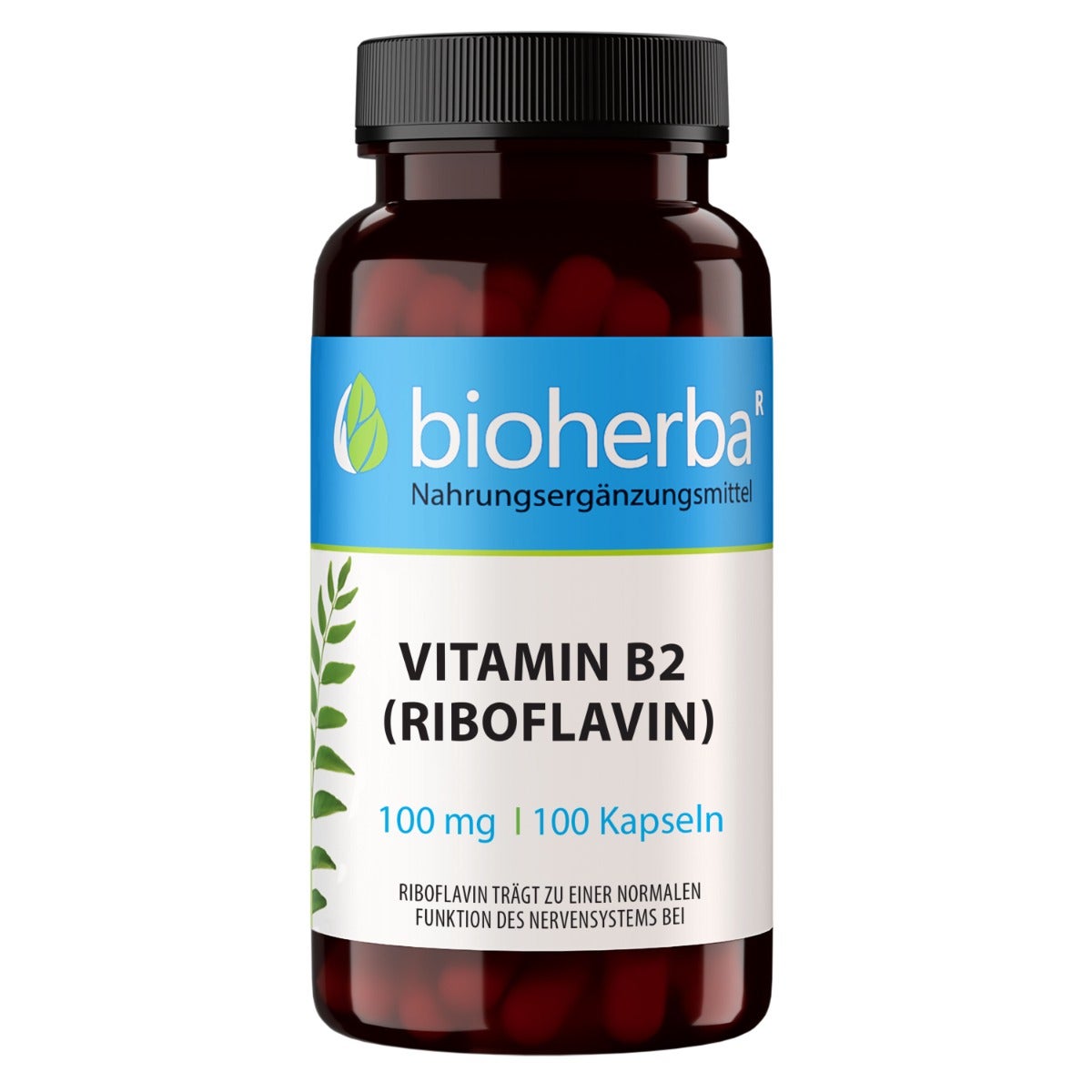 Vitamin B2 Riboflavin 100 Mg Kapseln 100 St