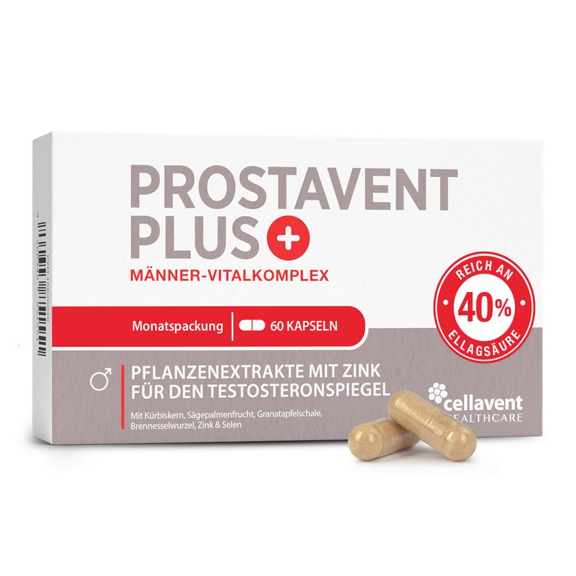 Prostata Komplex mit Sägepalmenextrakt, Prostavent PLUS 60 St