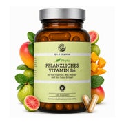 QIDOSHA Bio Vitamin B6 aus Guave, Mango & Tulsi 120 St