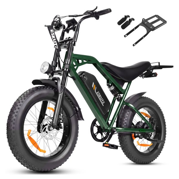 ESKUTE V202 Offroad-E-Bike, 48V 20,8Ah Akku 1 St