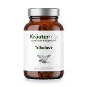 Tribulus+ Kapseln 90 St