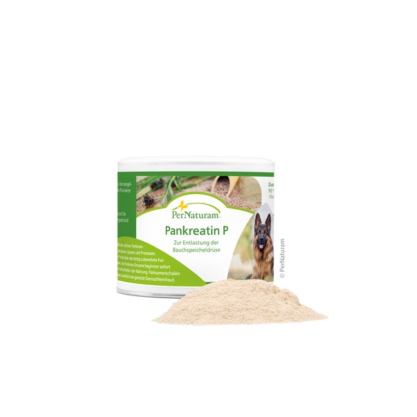 Pankreatin P 100 g