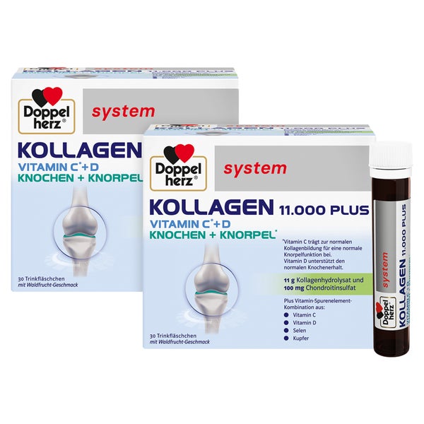 DH system Kollagen 11.000 Plus 60X25 ml