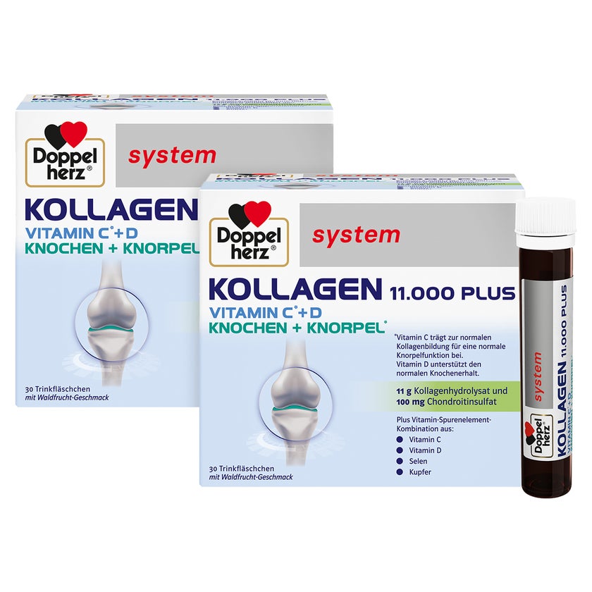 DH system Kollagen 11.000 Plus 60X25 ml