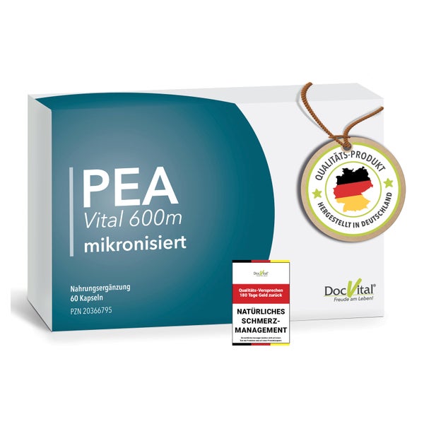 PEA Kapseln MIKRONISIERT: 60 Kapseln hochdosiert - vegan 60 St
