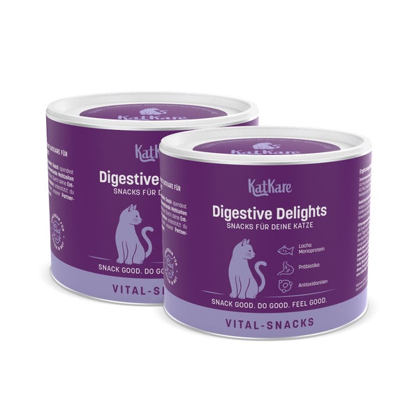 Digestive Delights 2x - Snack für die Gesunde Verdauung 400 St