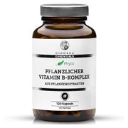 Vitamin C (pflanzlich) aus Bio-Amla-Extrakt im Glas 35 g