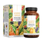 Multivitamin-Komplex mit Vitaminen, Pflanzen- und Mineralstoffen - VITAMINQUELLE - 90 vegane Kapseln - NATURTREU® 90 St