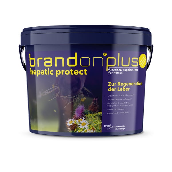 Hepatic für Pferde 3 kg