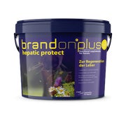 Hepatic für Pferde 3 kg