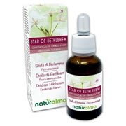 Naturalma Doldiger Milchstern Ornithogalum umbellatum Tropfen 30 ml