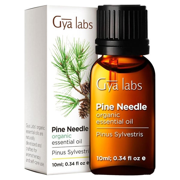 Gya Labs Ätherisches Kiefernöl für Diffuser 10 ml